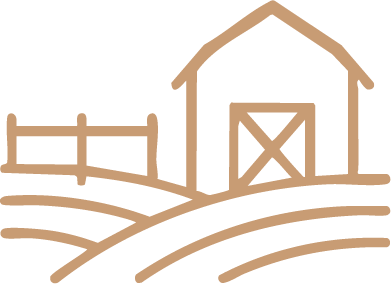 Asset 44