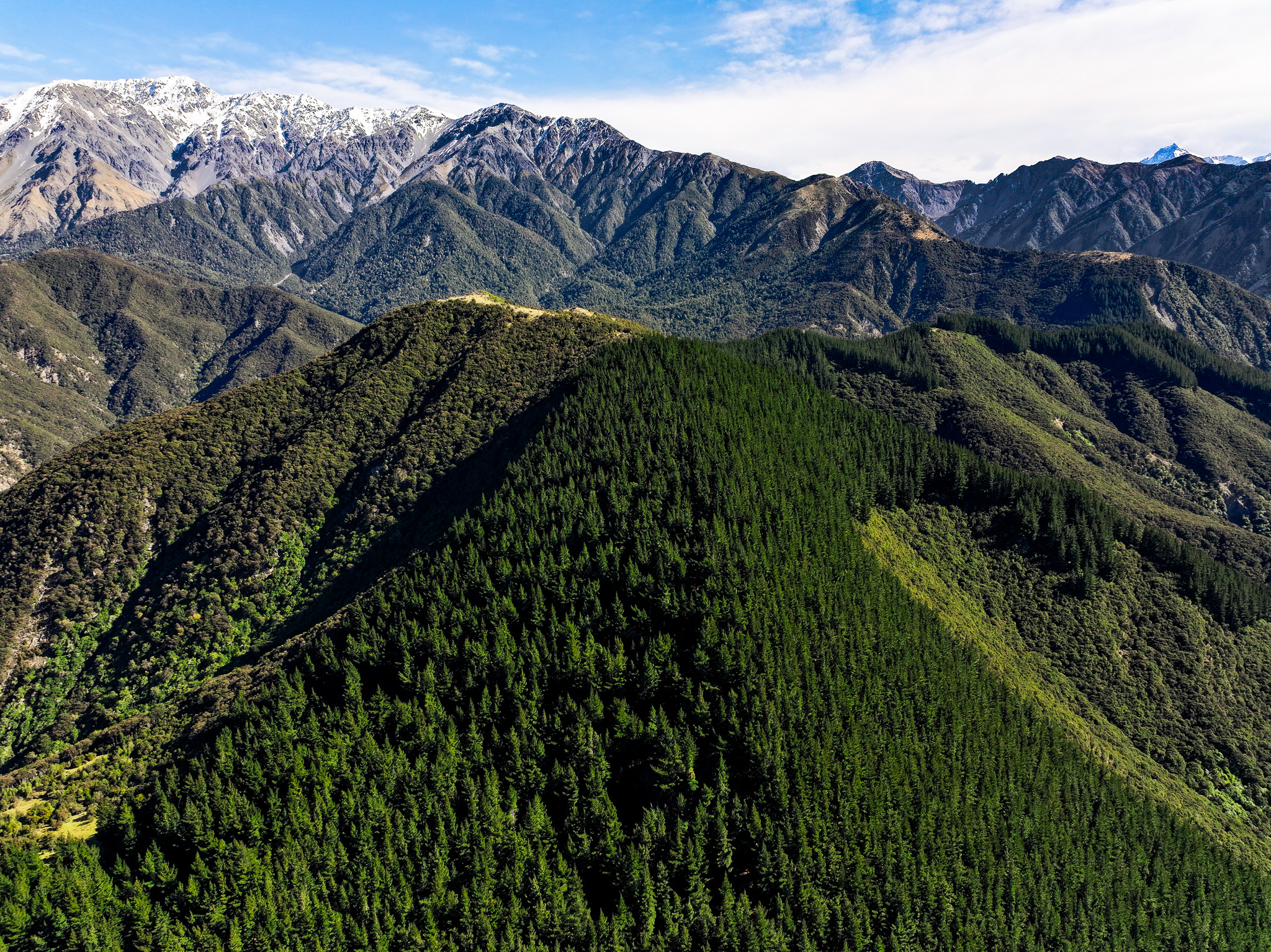 798ha of Forestry, Native Bush & Recreation
